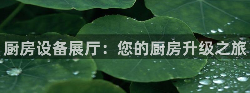 尊龙凯时是哪个国家的：厨房设备展厅：您的厨房升级之旅
