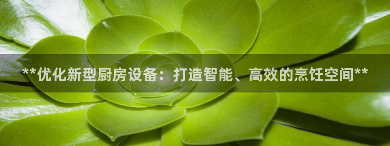 国际凯时ag优质运营商：**优化新型厨房设备：打造智能、高效