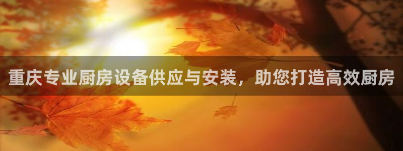尊龙现金一下指导AG发财网：重庆专业厨房设备供应与安装，助您