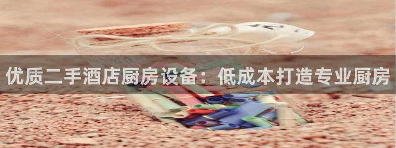 尊龙l1500：优质二手酒店厨房设备：低成本打造专业厨房