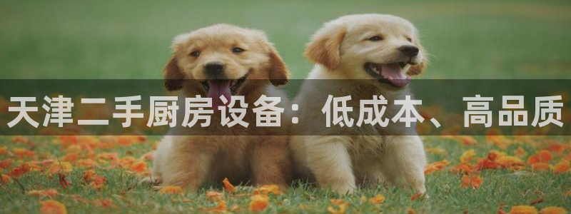 d88尊龙官网登录免费下载：天津二手厨房设备：低成本、高品质