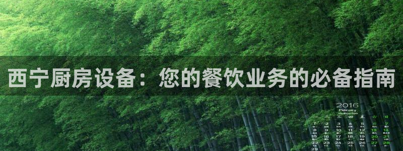 尊龙官网免费下载安卓：西宁厨房设备：您的餐饮业务的必备指南
