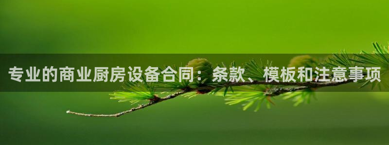尊龙l1500：专业的商业厨房设备合同：条款、模板和注意事项