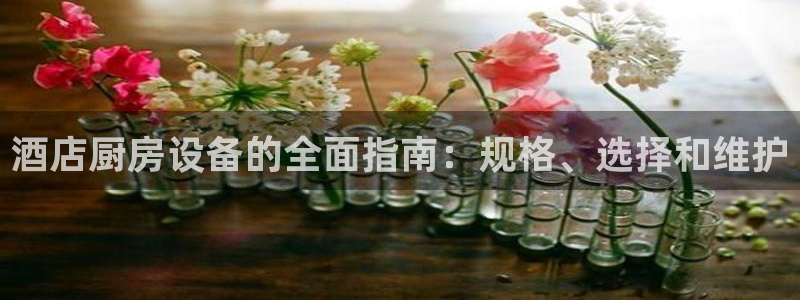 凯时赢来就送38：酒店厨房设备的全面指南：规格、选择和维护