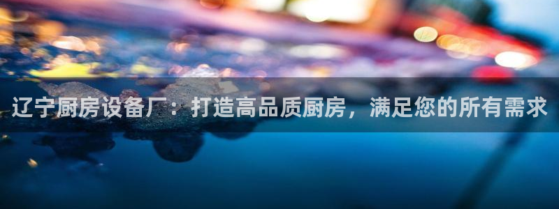 尊龙凯时可以提现吗：辽宁厨房设备厂：打造高品质厨房，满足您的