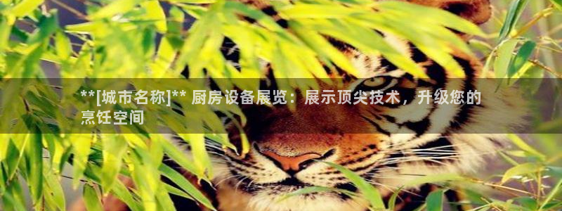 尊龙凯时平台怎么样：**[城市名称]** 厨房设备展览：展示