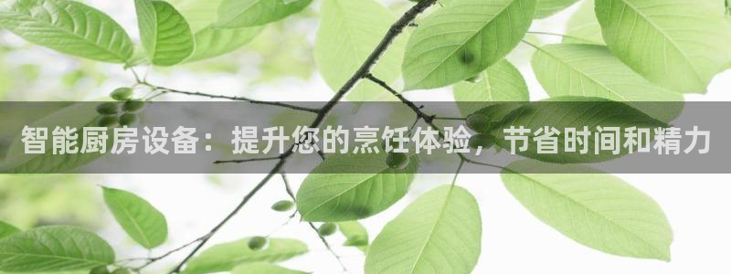 尊龙app下载官网：智能厨房设备：提升您的烹饪体验，节省时间