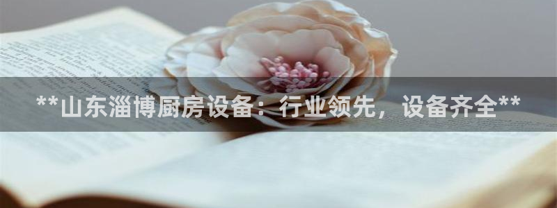 凯时网址多少：**山东淄博厨房设备：行业领先，设备齐全**