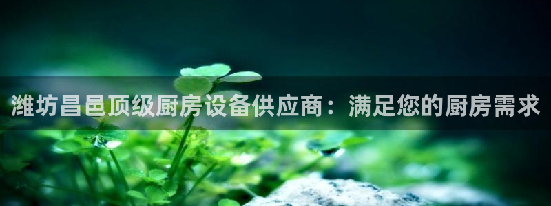 尊龙165：潍坊昌邑顶级厨房设备供应商：满足您的厨房需求