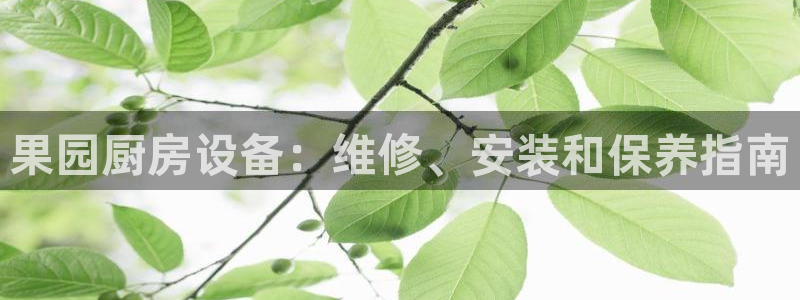 尊龙t600：果园厨房设备：维修、安装和保养指南