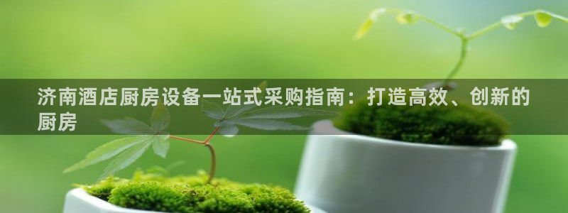 尊龙凯时人生就是搏包装优势：济南酒店厨房设备一站式采购指南：