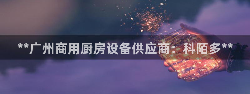 尊龙凯时人生就博：**广州商用厨房设备供应商：科陌多**