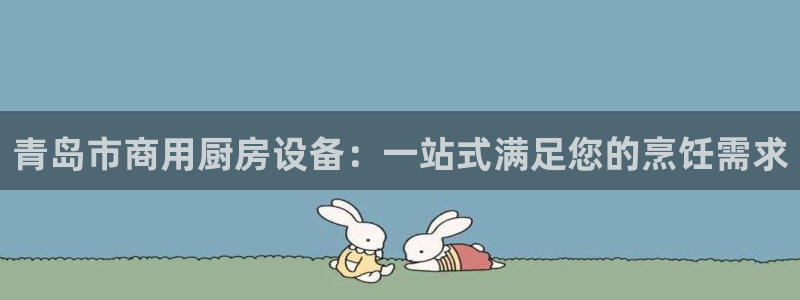 尊龙新版人生就是博!：青岛市商用厨房设备：一站式满足您的烹饪