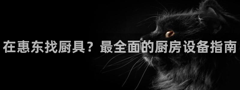 尊龙凯时有假么：在惠东找厨具？最全面的厨房设备指南