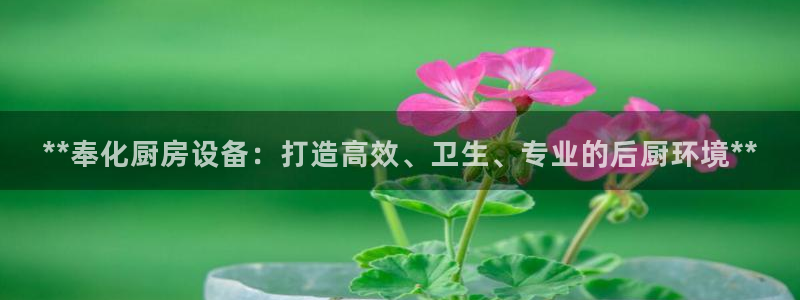 凯时官网app下载官方网站：**奉化厨房设备：打造高效、卫生