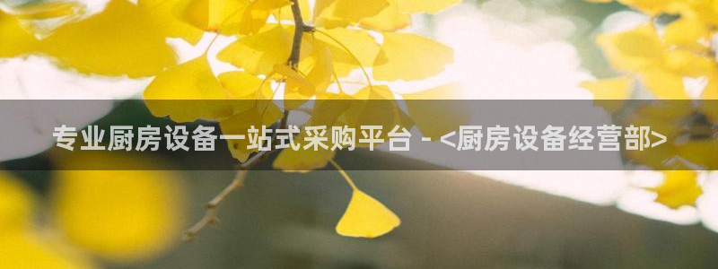 尊龙凯时下载链接：专业厨房设备一站式采购平台 - <厨房设备