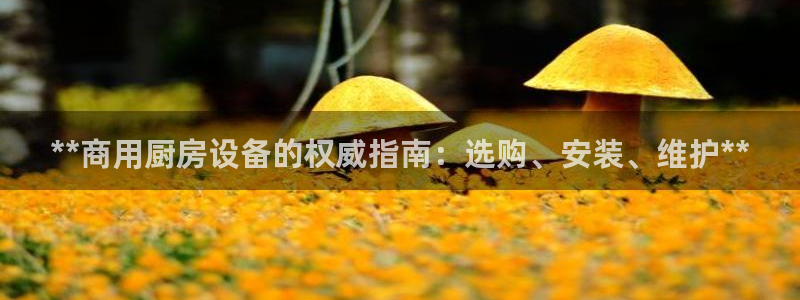 尊龙人生就是博菲律宾台子：**商用厨房设备的权威指南：选购、