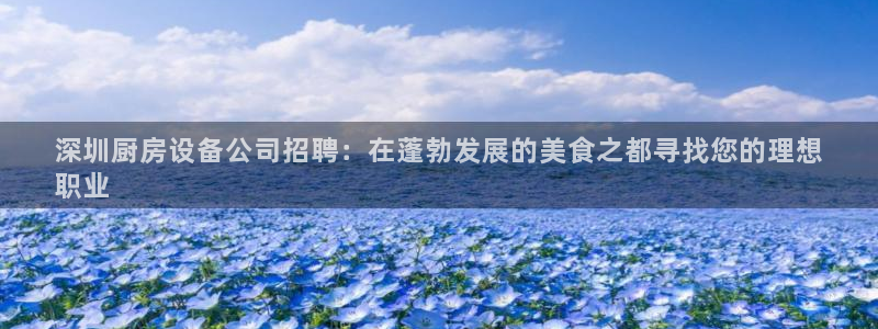 尊龙实业 吴友良：深圳厨房设备公司招聘：在蓬勃发展的美食之都