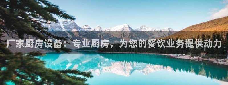 尊龙凯时新闻：厂家厨房设备：专业厨房，为您的餐饮业务提供动力