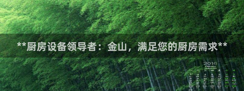 尊龙凯时网站是什么地方人开的：**厨房设备领导者：金山，满足