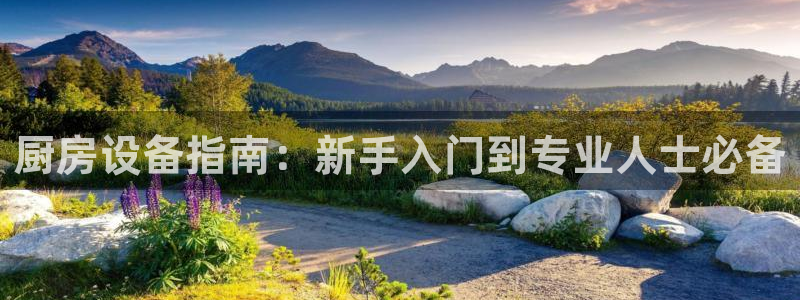 尊龙ag旗舰厅官网·(中国)官方入口：厨房设备指南：新手入门