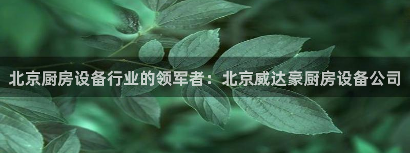 尊龙凯时人生就是博官网登录：北京厨房设备行业的领军者：北京威
