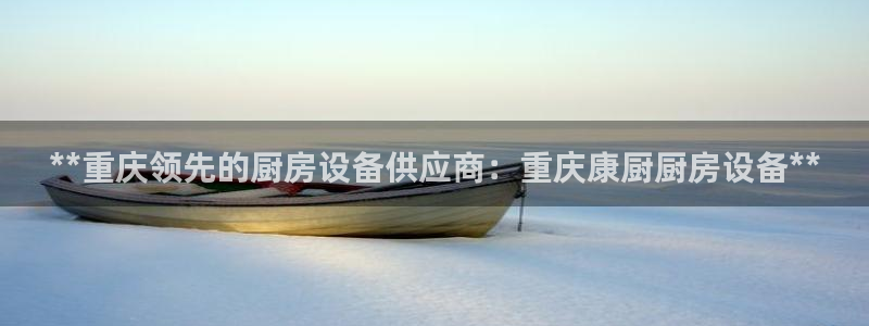 尊龙凯时网站不让提款：**重庆领先的厨房设备供应商：重庆康厨