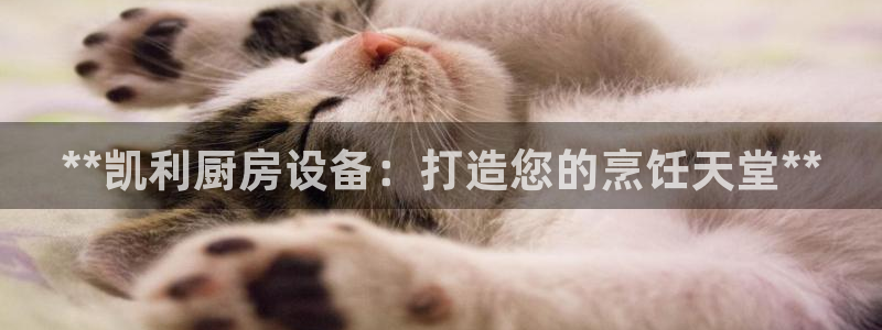 尊龙官网国际：**凯利厨房设备：打造您的烹饪天堂**