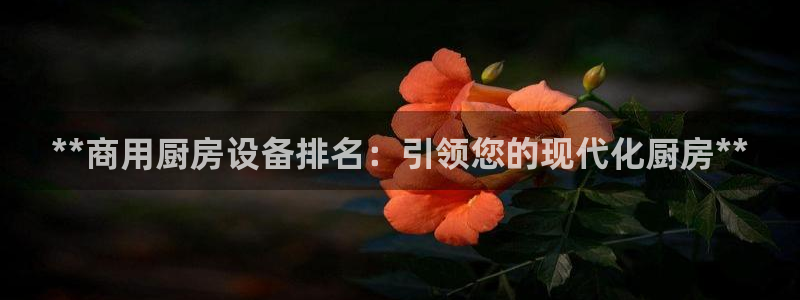 尊龙下载推荐网站：**商用厨房设备排名：引领您的现代化厨房*
