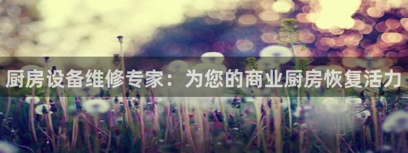 尊龙app最新版本官网：厨房设备维修专家：为您的商业厨房恢复