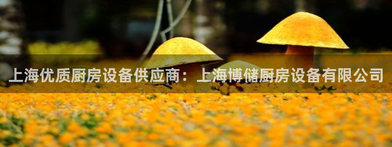 尊龙凯时台子：上海优质厨房设备供应商：上海博储厨房设备有限公