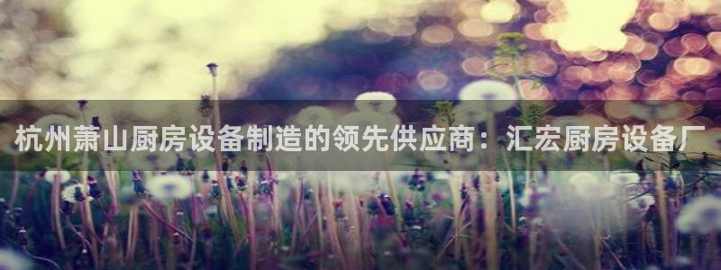 尊龙新版App下载：杭州萧山厨房设备制造的领先供应商：汇宏厨