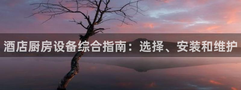尊龙人生就是博登陆：酒店厨房设备综合指南：选择、安装和维护