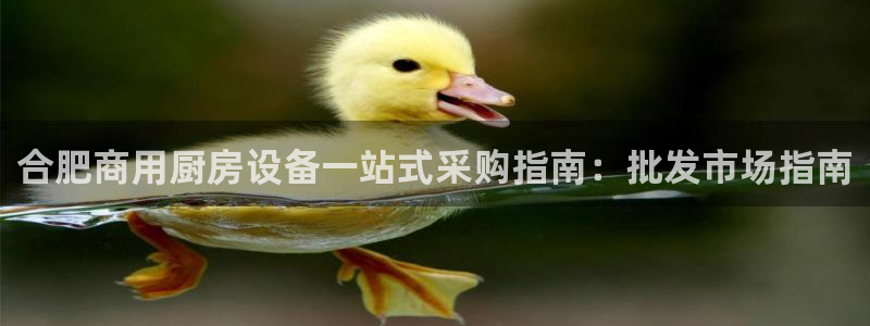 尊龙1003尊龙 - 百度：合肥商用厨房设备一站式采购指南：