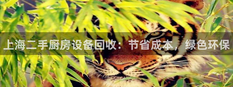 尊龙官网：上海二手厨房设备回收：节省成本，绿色环保