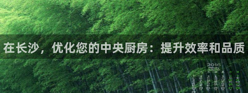 凯时国际平台有人赢吗：在长沙，优化您的中央厨房：提升效率和品