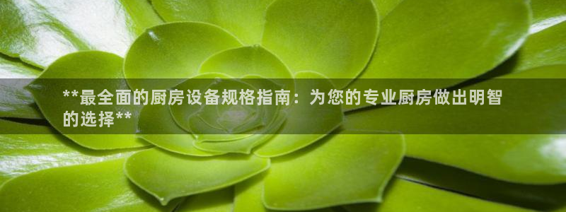 尊龙凯时存款多久到账：**最全面的厨房设备规格指南：为您的专