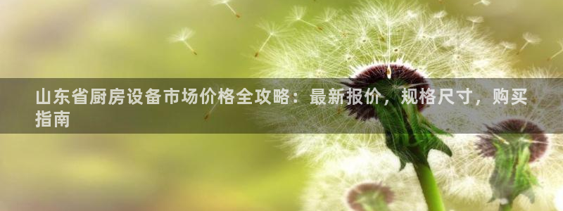 尊龙人品怎么样：山东省厨房设备市场价格全攻略：最新报价，规格