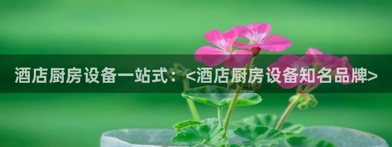 尊龙集团官网：酒店厨房设备一站式：<酒店厨房设备知名品牌>