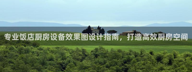 尊龙ag旗舰厅官网登录：专业饭店厨房设备效果图设计指南，打造