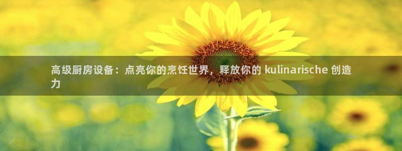 尊龙app认可ag发财网：高级厨房设备：点亮你的烹饪世界，释