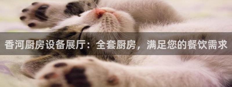 z6com尊龙凯时：香河厨房设备展厅：全套厨房，满足您的餐饮