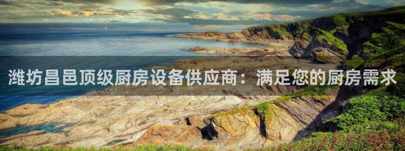 尊龙凯时ag旗舰厅试玩：潍坊昌邑顶级厨房设备供应商：满足您的