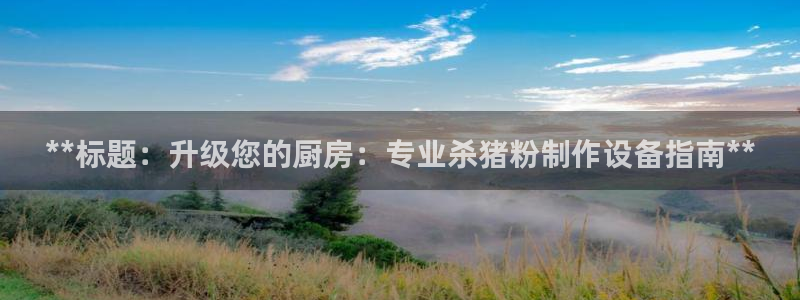 尊龙凯时取款24小时不到账：**标题：升级您的厨房：专业杀猪