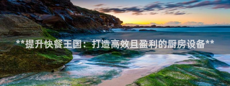 尊龙体育正规么：**提升快餐王国：打造高效且盈利的厨房设备*