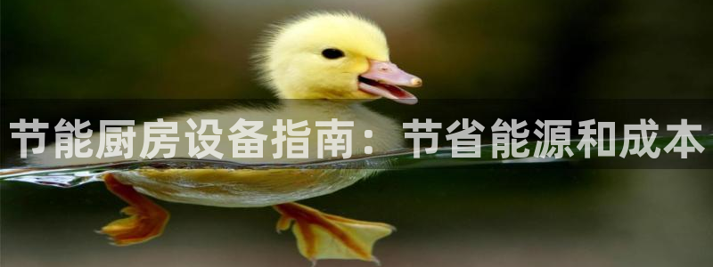 d88尊龙官网手机app：节能厨房设备指南：节省能源和成本