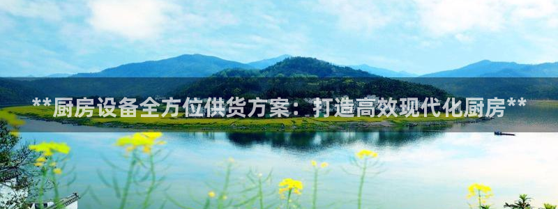 ag尊龙怎么样：**厨房设备全方位供货方案：打造高效现代化厨