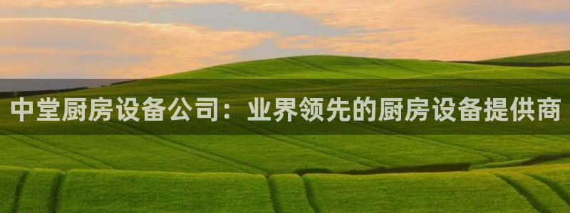 尊龙t300和t400哪个好：中堂厨房设备公司：业界领先的厨