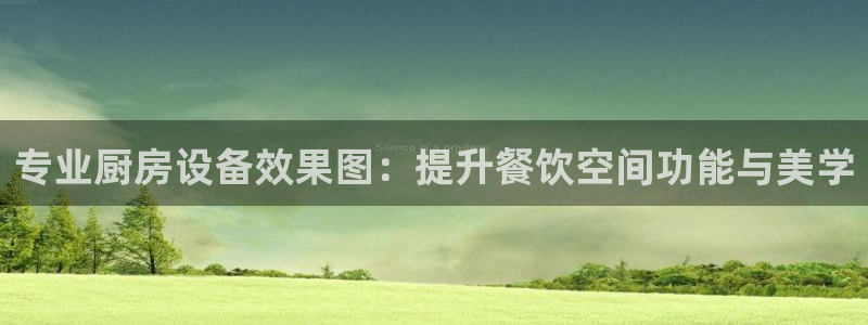 尊龙凯时白家乐Abb下载：专业厨房设备效果图：提升餐饮空间功