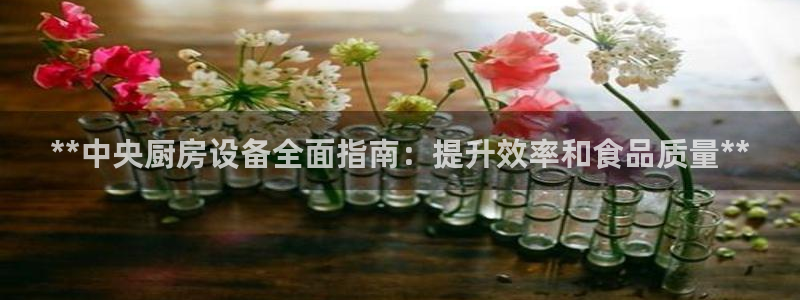 尊龙人生就是博D88：**中央厨房设备全面指南：提升效率和食